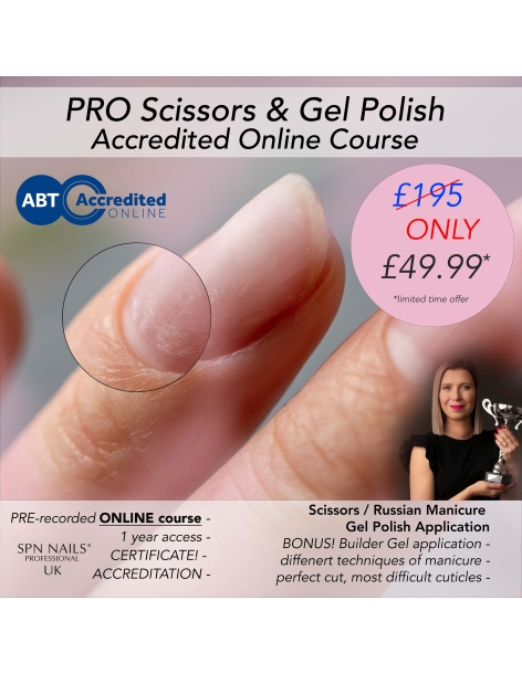 PRO Scissors- ONLINE COURSE ABT Accredited - Online Course- 